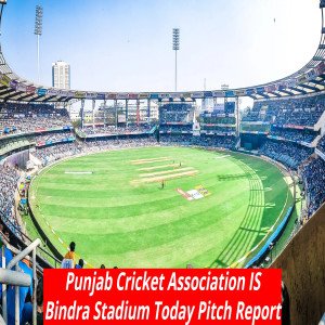 ODI SERIES 2023 IND vs AUS: Punjab Cricket Association IS Bindra Stadium Mohali Pitch Report in Hindi| पंजाब क्रिकेट एसोसिएशन स्टेडियम इस बिंद्रा स्टेडियम मोहाली पिच रिपोर्ट